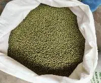 Green Mung Bean  