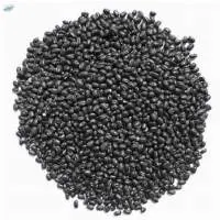 Black Beans