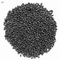 Black Beans  
