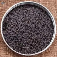 Basil Seed
