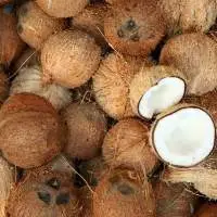 Vietnam Dry Coconut