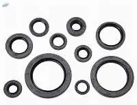 Engine Seal