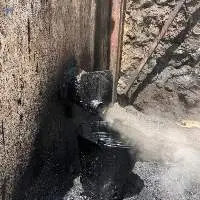 Pine Tar (Kiln)