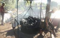 Wood Charcoal