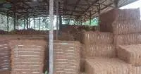 Coco Fiber