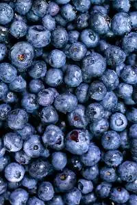 Blue Berries