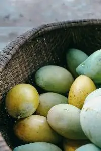 Mango