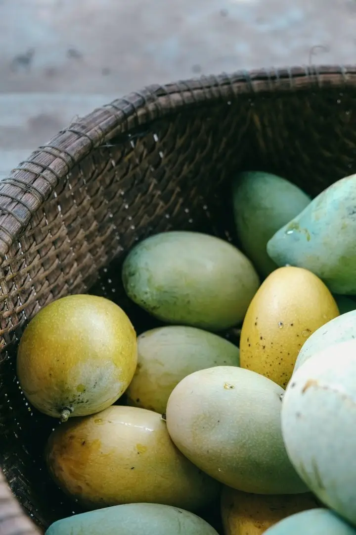 Mango