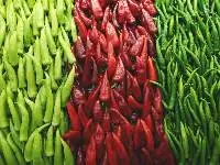 Green Chilly