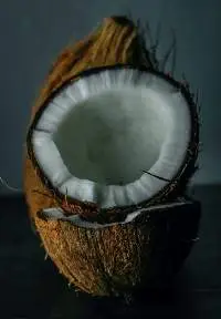 Coconut