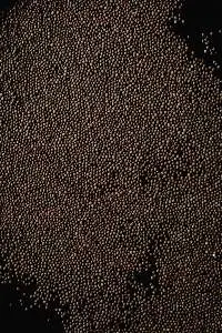 Mustard Seeds