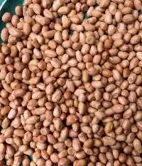 Peanuts