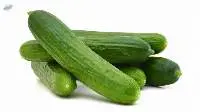 Fresh Cucumber