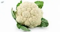 Fresh Cauliflower