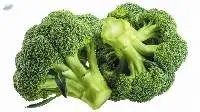 Fresh Broccoli