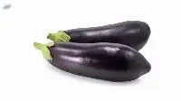 Fresh Black Eggplant