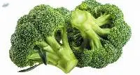 Fresh Broccoli