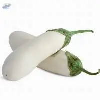 Fresh White Eggplant