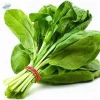 Fresh Spinach
