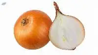 Fresh Onions