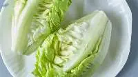 Fresh Lettuce