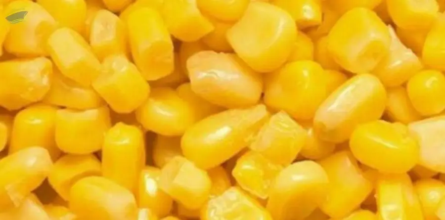 Frozen Yellow Corn