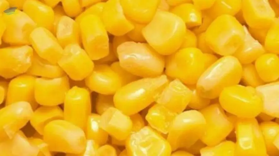 Frozen Yellow Corn