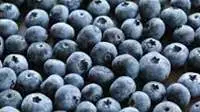 Frozen Blueberries