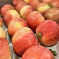 Apples