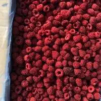 IQF Raspberry 90/10