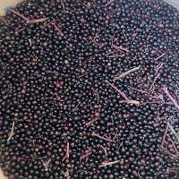IQF Elderberry