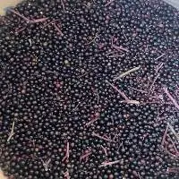IQF Elderberry