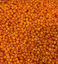 IQF Seabuckthorn Berries
