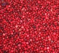 IQF Wild Cranberries