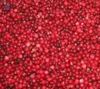 IQF Wild Cranberries