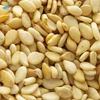 Sesame Seed