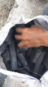 Polvo De Charcoal 