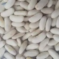 White Beans