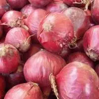 Fresh Onion