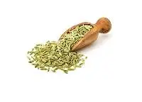 Fennel / Sauf