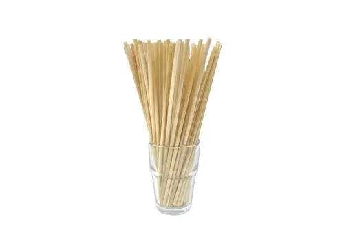 Stubble Drinking Straw