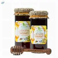 Himalayan Rare Small Bee Honey