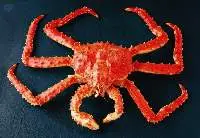 Royal Delicious Crab