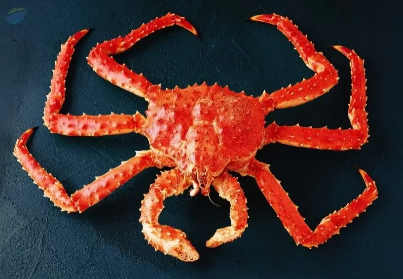 Royal Delicious Crab