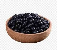 Soybean Seed