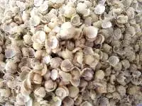 Soya Hulls