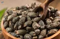 Dried Young Betel Nuts (Areca Catechu)