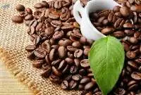 Coffee Beans (Robusta)