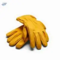 Leather Gloves