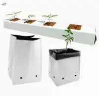 Coir Pith Grow Bags